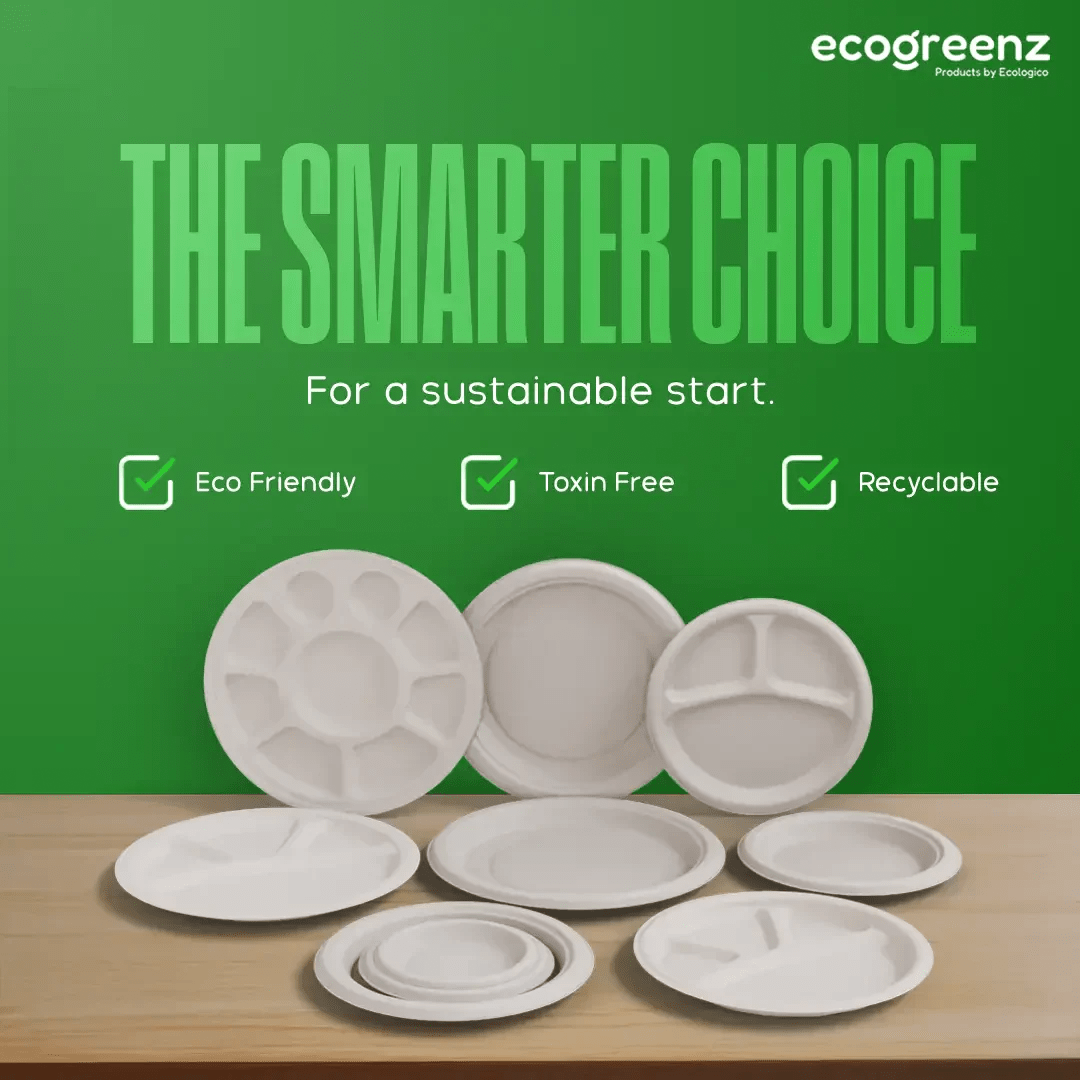 5 Reasons to Choose Bagasse Products for Daily Needs! - EcoGreenz