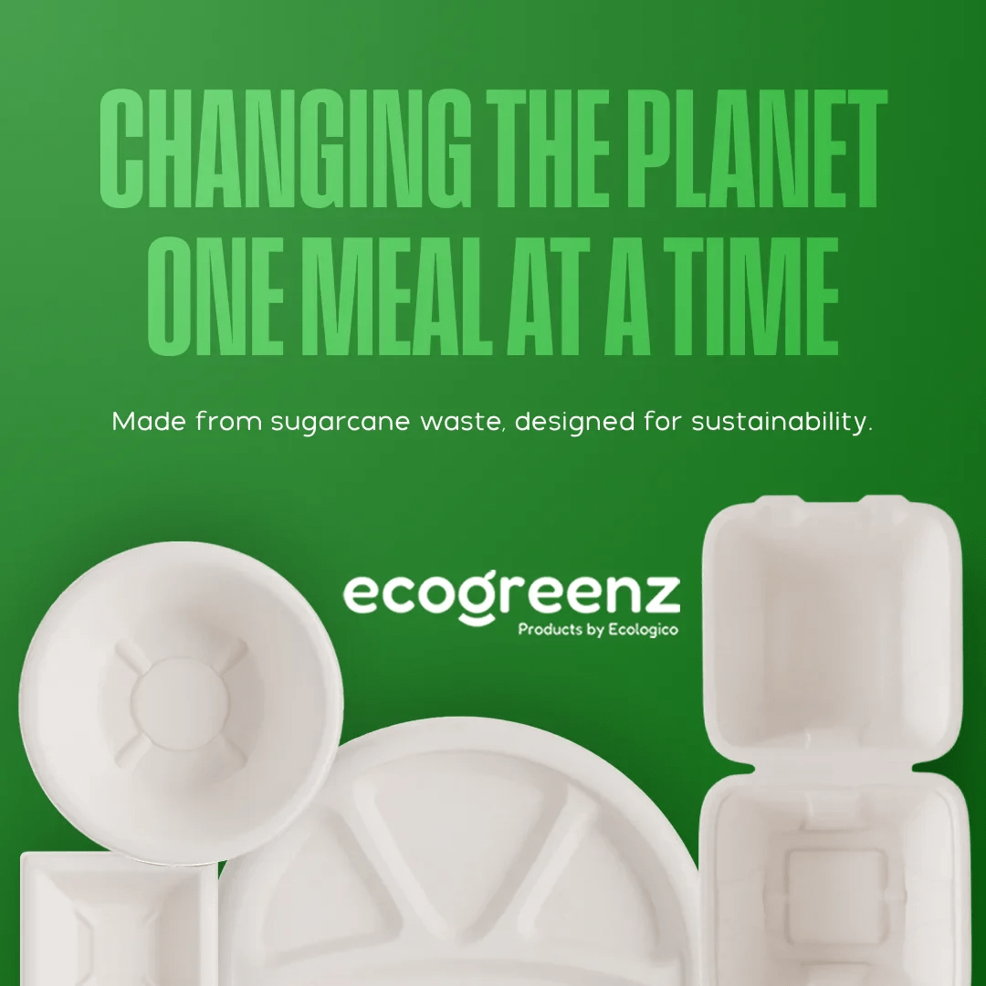 Eco-Friendly Disposable vs Traditional Disposable - EcoGreenz
