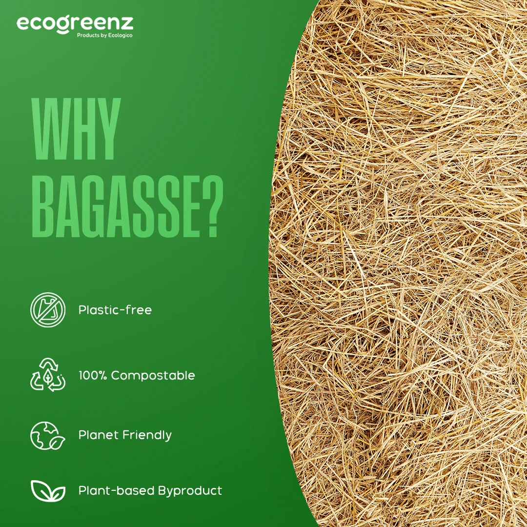 Eco-Friendly Sugarcane Bagasse Products: Sustainable Choice - EcoGreenz