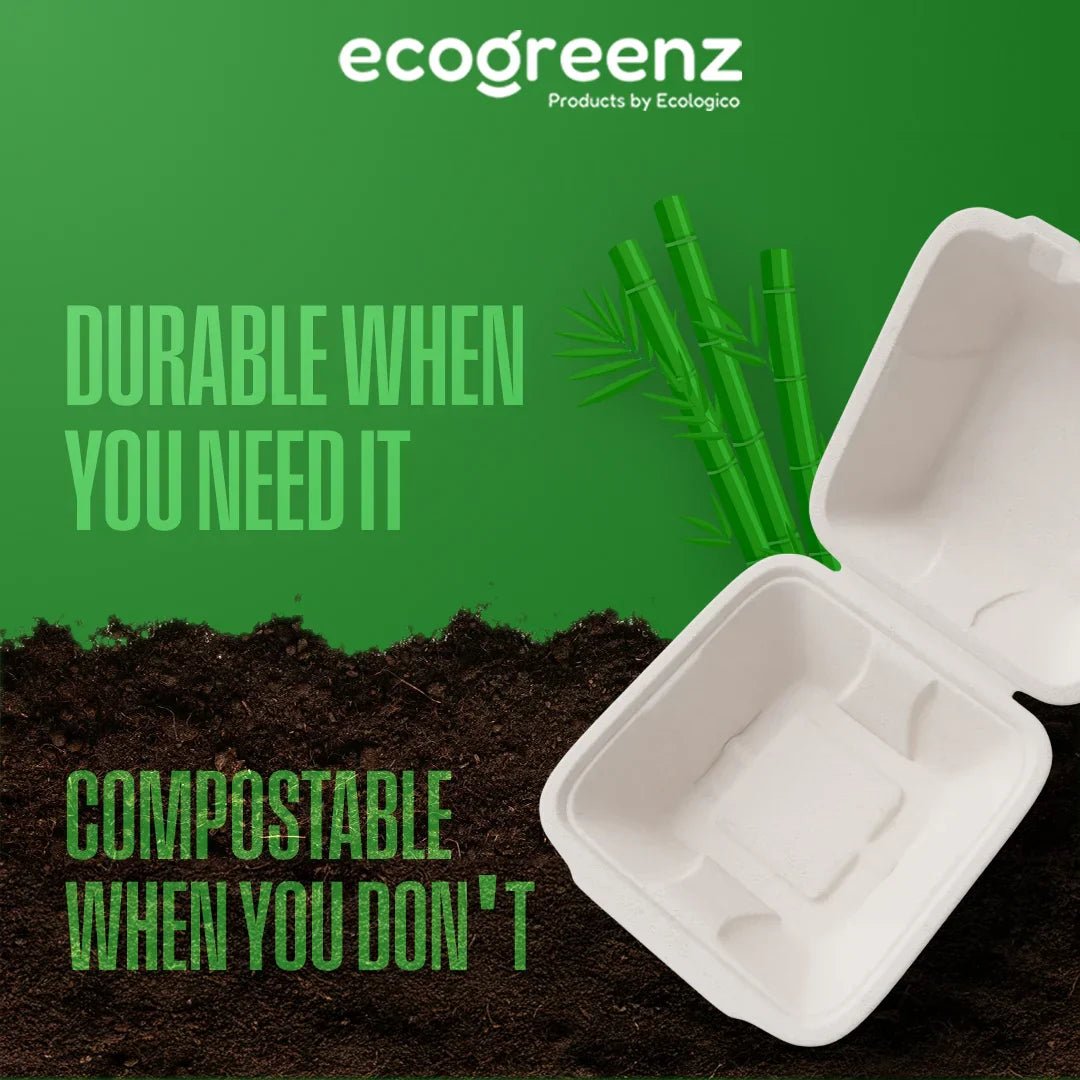 From Waste to Wealth: Exploring the Uses of Bagasse - EcoGreenz