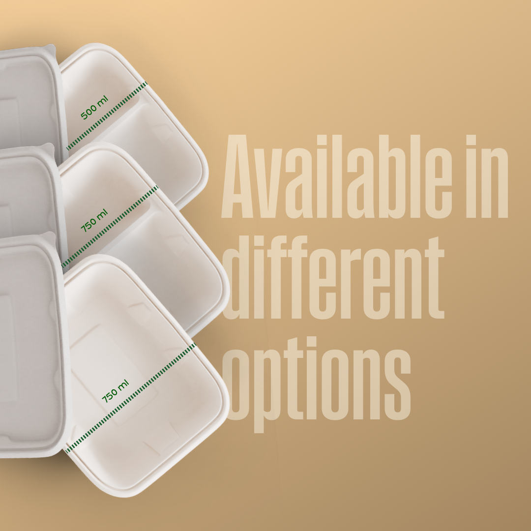 Rectangle Containers With Lid