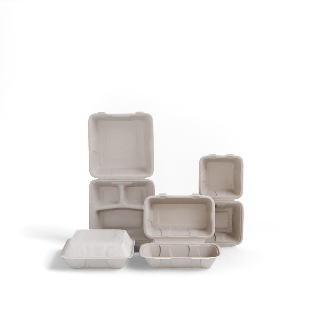 Clamshell With Compartment - EcoGreenz