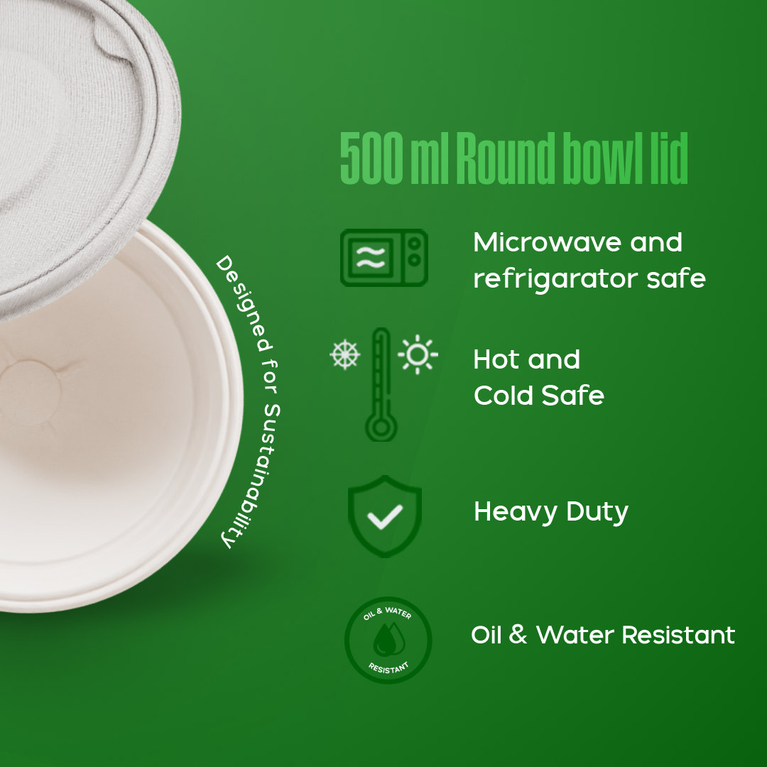 500 ML Bowl With Lid (Anti Leak)