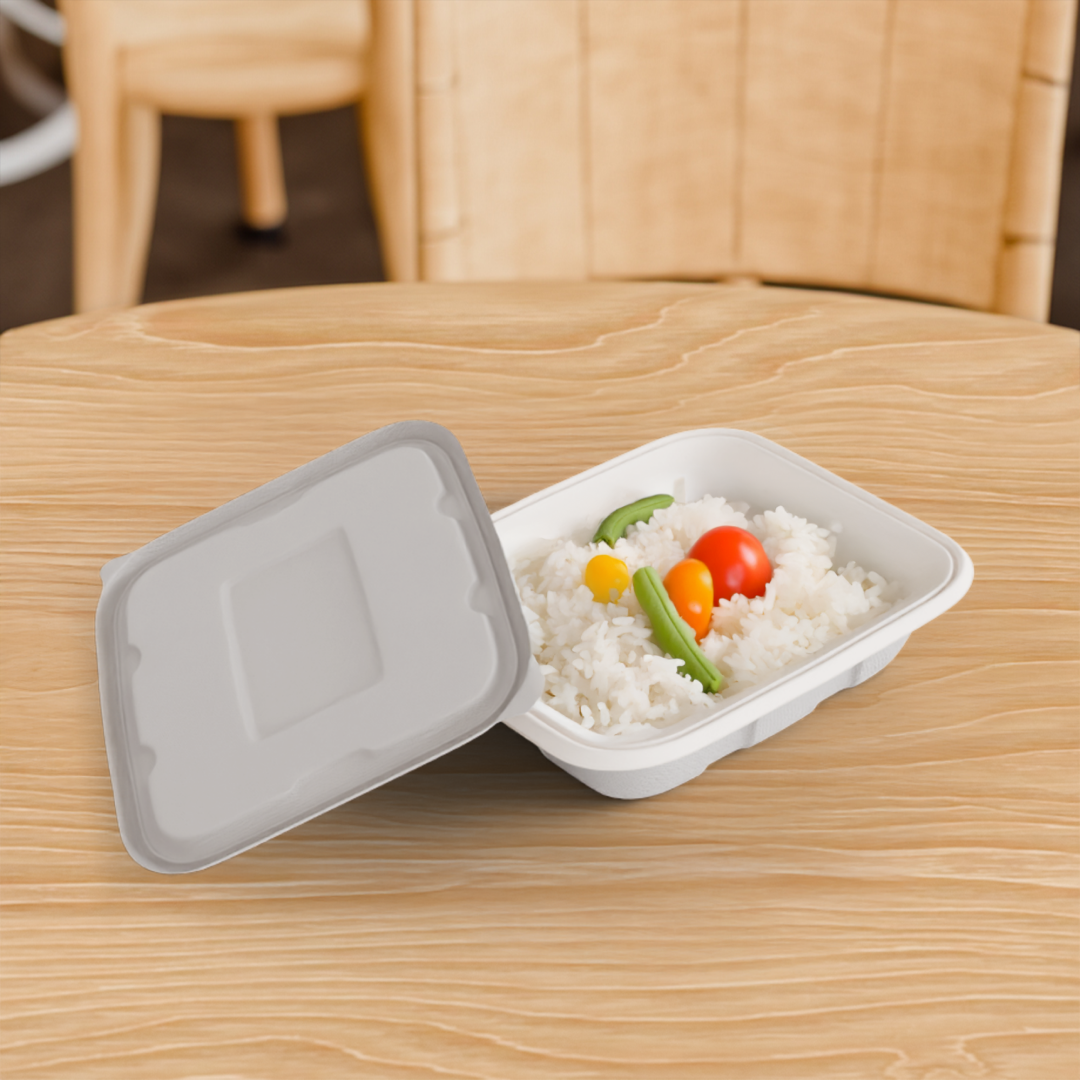 750 ML Container With Lid (Anti Leak)