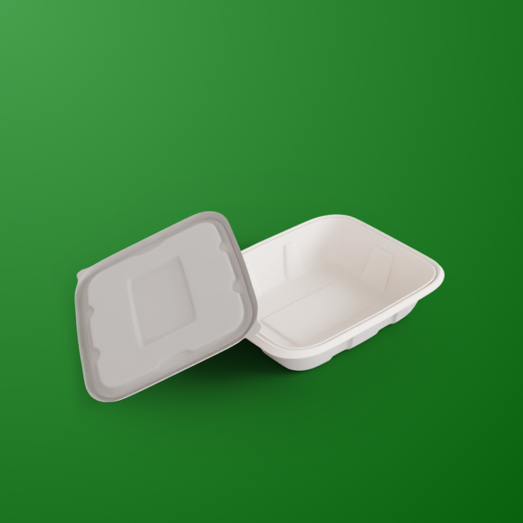 750 ML Container With Lid (Anti Leak)