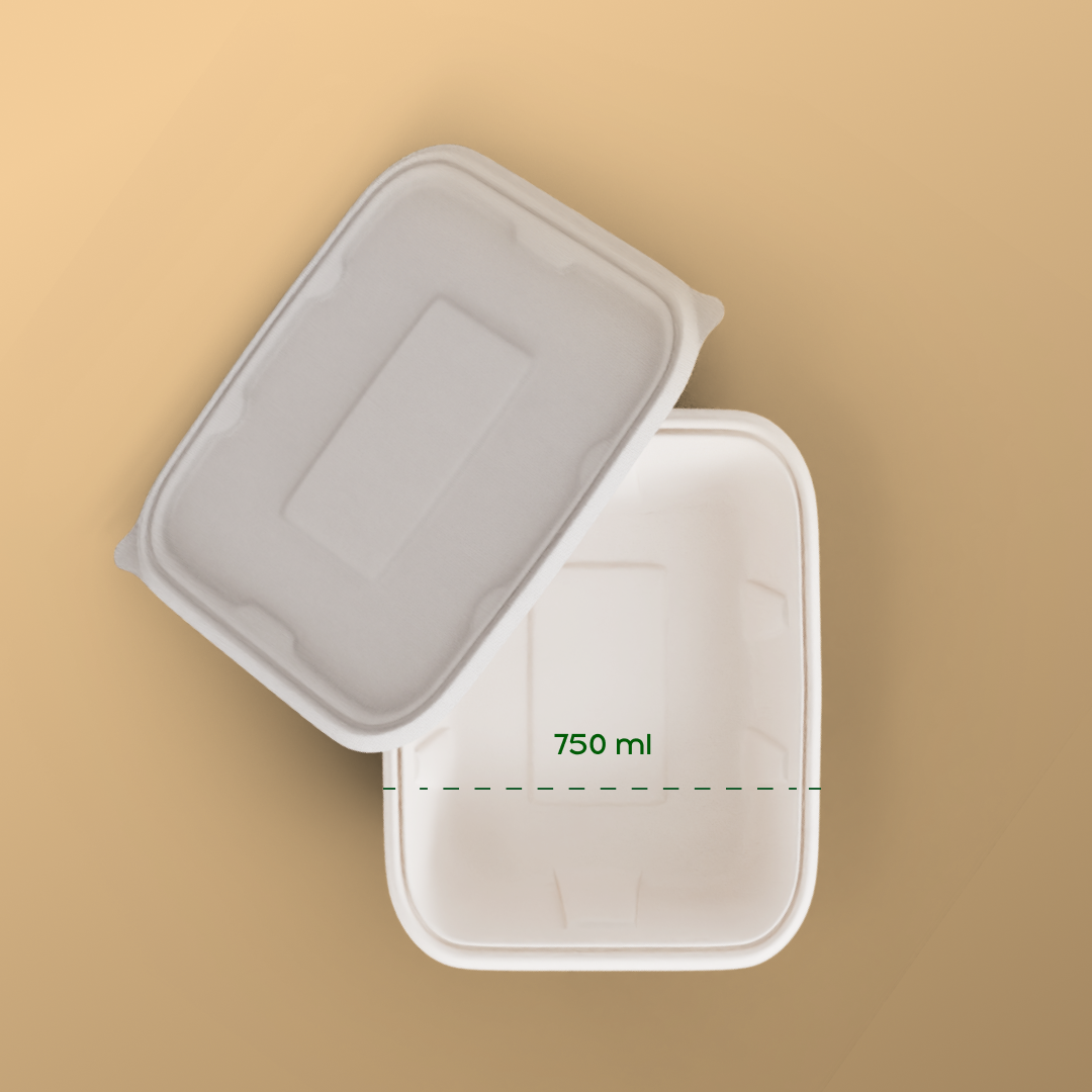 750 ML Container With Lid (Anti Leak)