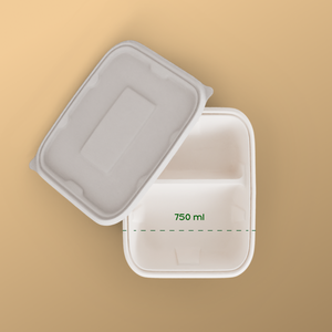 750ml 2 compartment container | biodegradable combo meal box