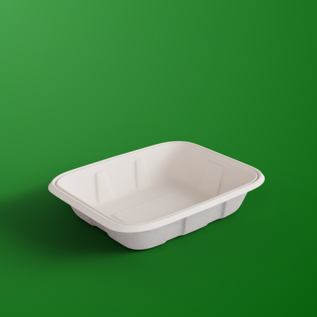 750 ML Container With Lid (Anti Leak)