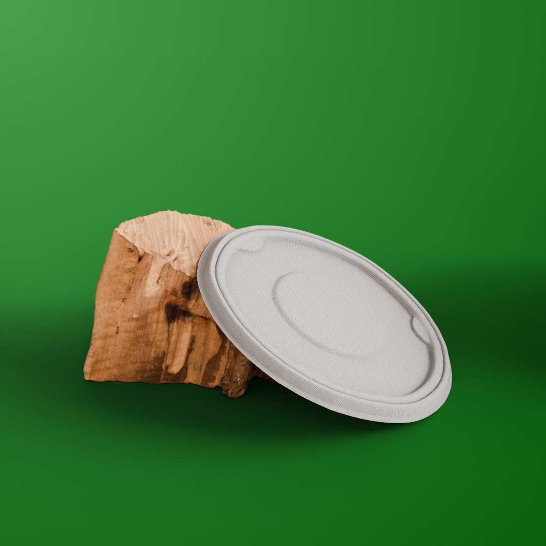 750 ML Bowl With Lid (Anti Leak)