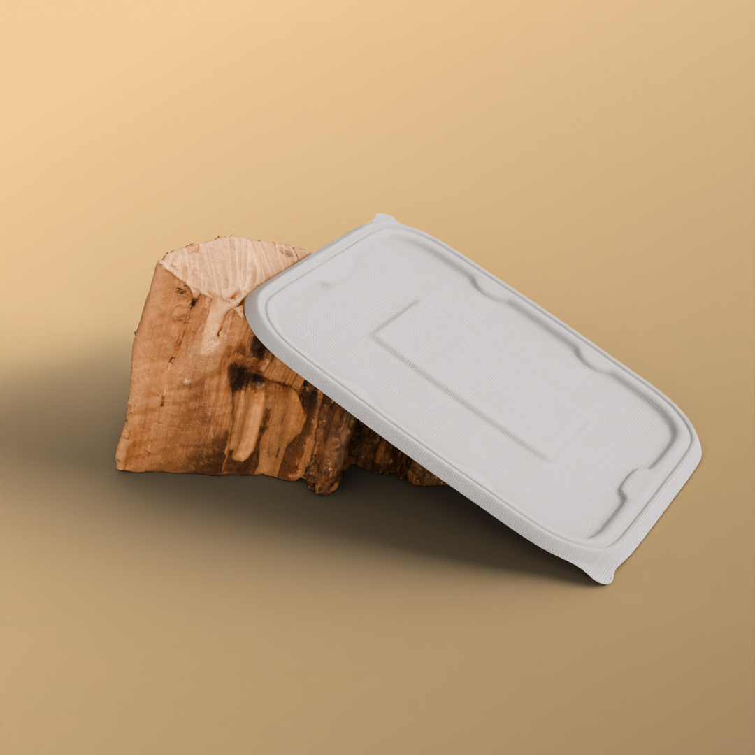 750 ml 2 cp rectangle container - Biodegradable sugarcane bagasse container with lid