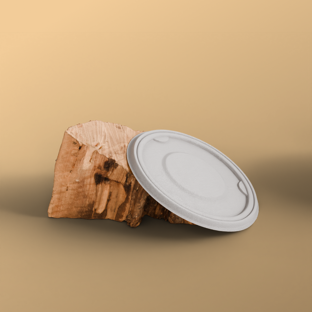 500 ML Bowl With Lid (Anti Leak)