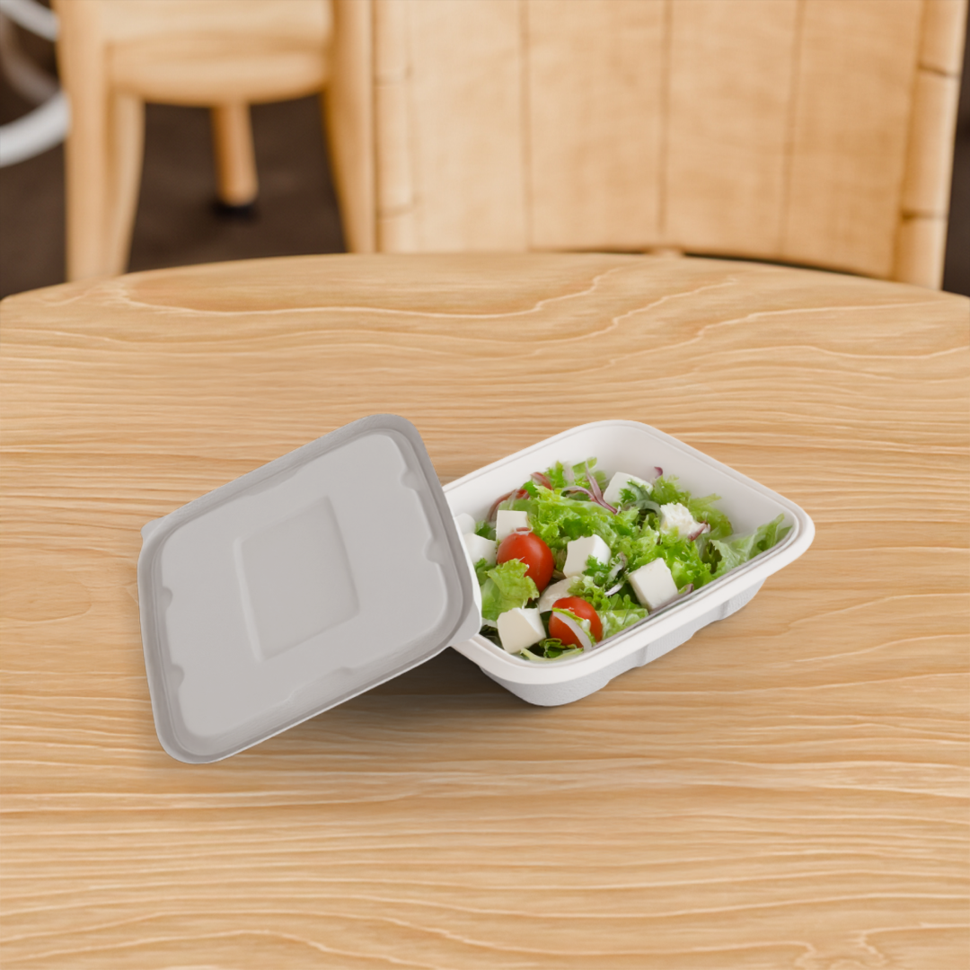 500 ML Container With Lid (Anti Leak)