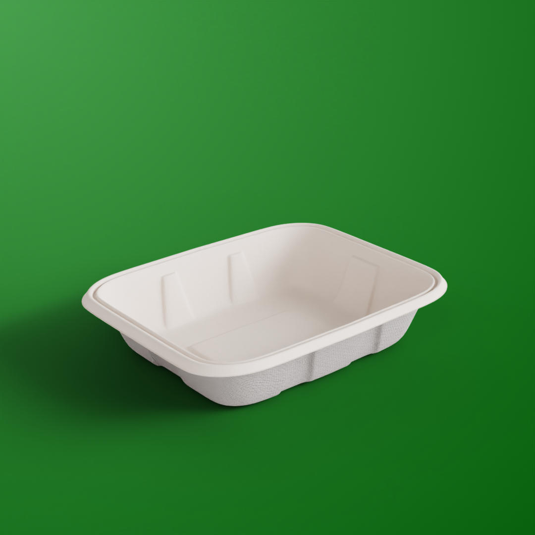 500 ML Container With Lid (Anti Leak)