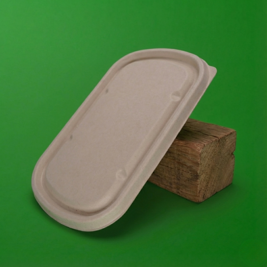 1000 ML 2 CP Rectangular Container With Lid