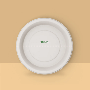10 Inch Round Plate - Biodegradable sugarcane bagasse plate