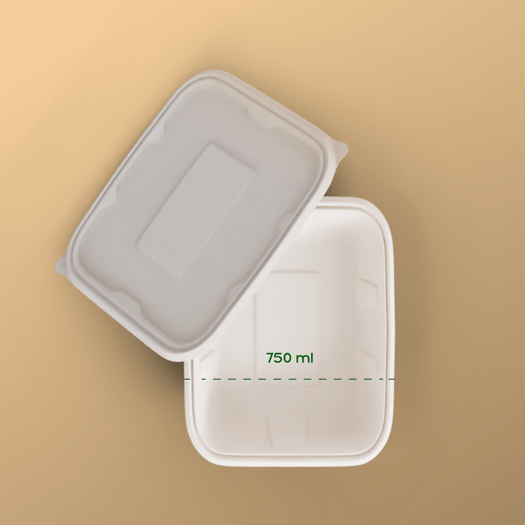 750 ml rectangle container - Biodegradable sugarcane bagasse container with lid
