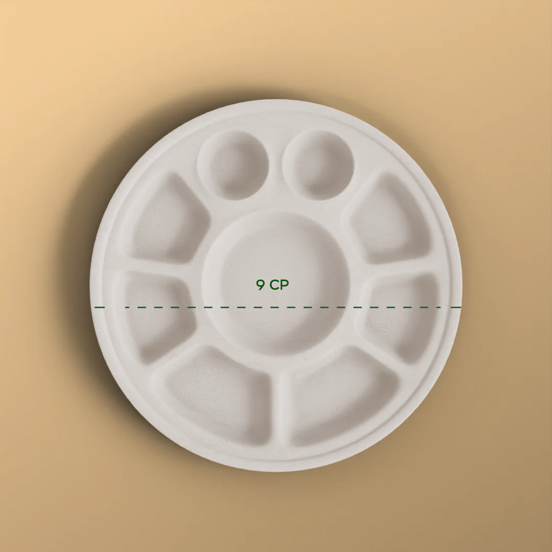 9 cp round plate - Biodegradable sugarcane bagasse plate