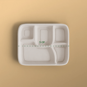 5 cp meal tray - Biodegradable sugarcane bagasse meal tray