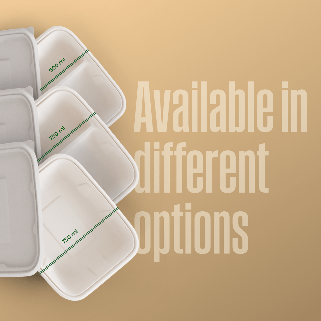 rectangle container - Biodegradable sugarcane bagasse rectangle container with lid