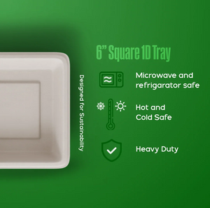 7 Inch Square Biodegradable Bagasse Plate | Compostable Eco Plate | EcoGreenz India