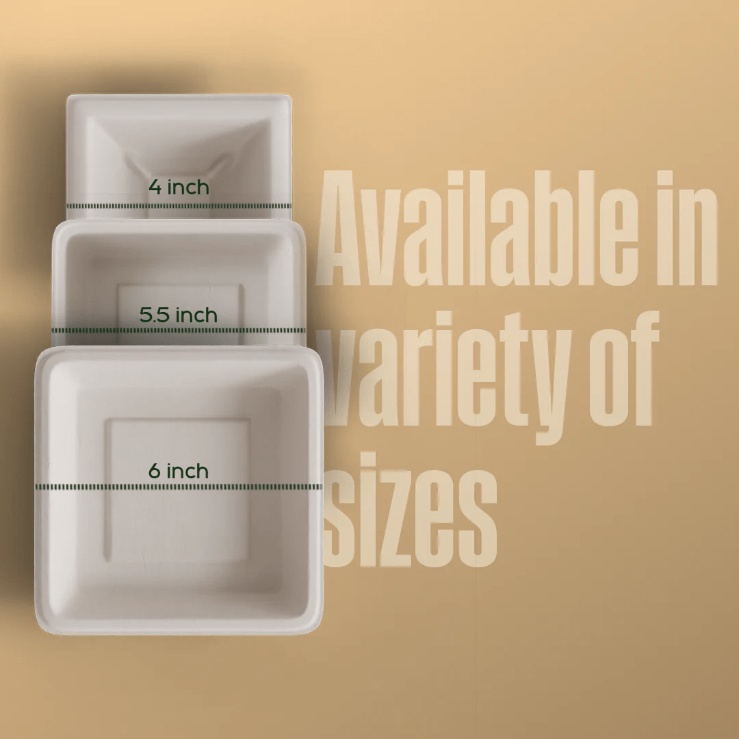 square plate - Biodegradable sugarcane bagasse plate