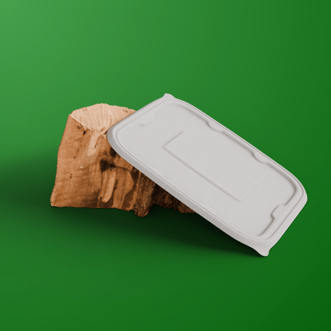 750 ml rectangle container - Biodegradable sugarcane bagasse container with lid