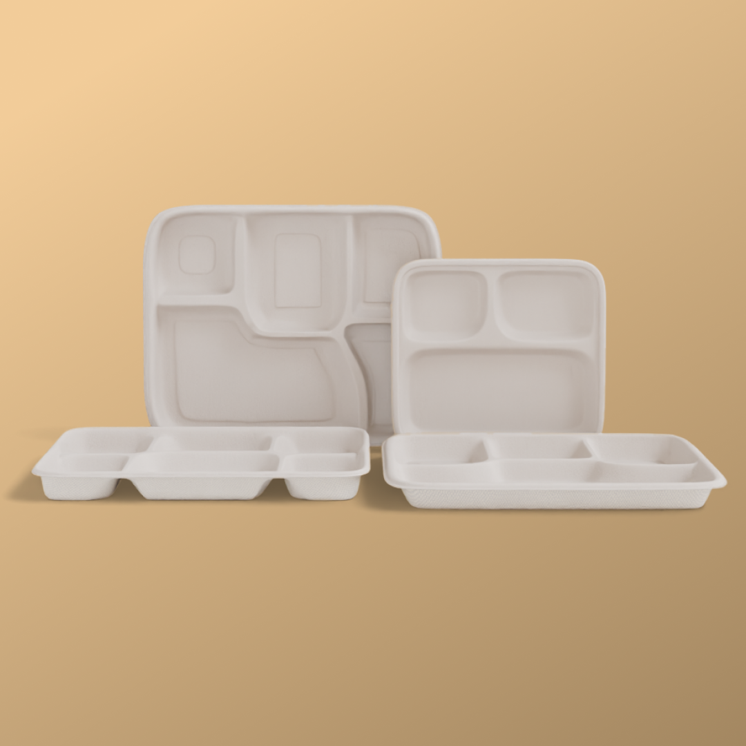 6 CP MEAL TRAY