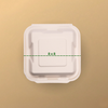CLAMSHELL 10X6 2CP | Biodegradable Bagasse Hinged 2 Compartment Box | EcoGreenz India