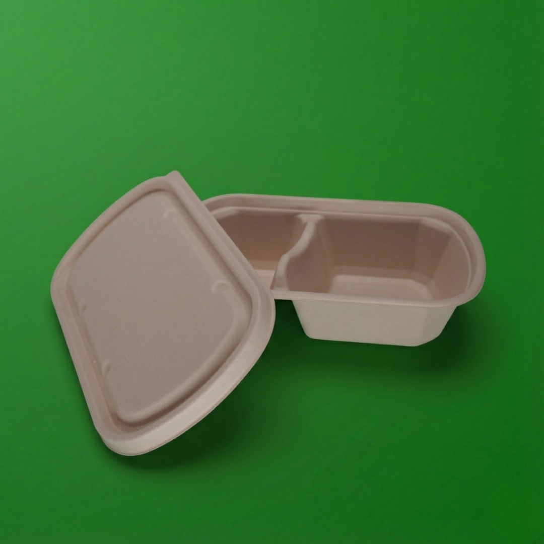 1000 ML 2 CP Rectangular Container With Lid