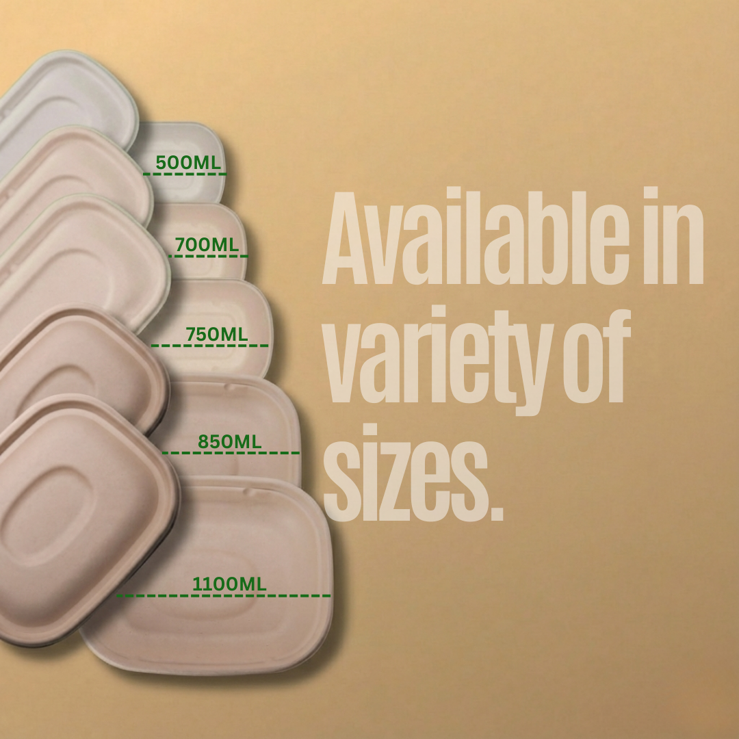 1100 ML Rectangular Container With Lid