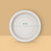 Product_name - Biodegradable sugarcane bagasse Product_type