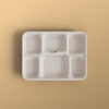 Product_name - Biodegradable sugarcane bagasse Product_type