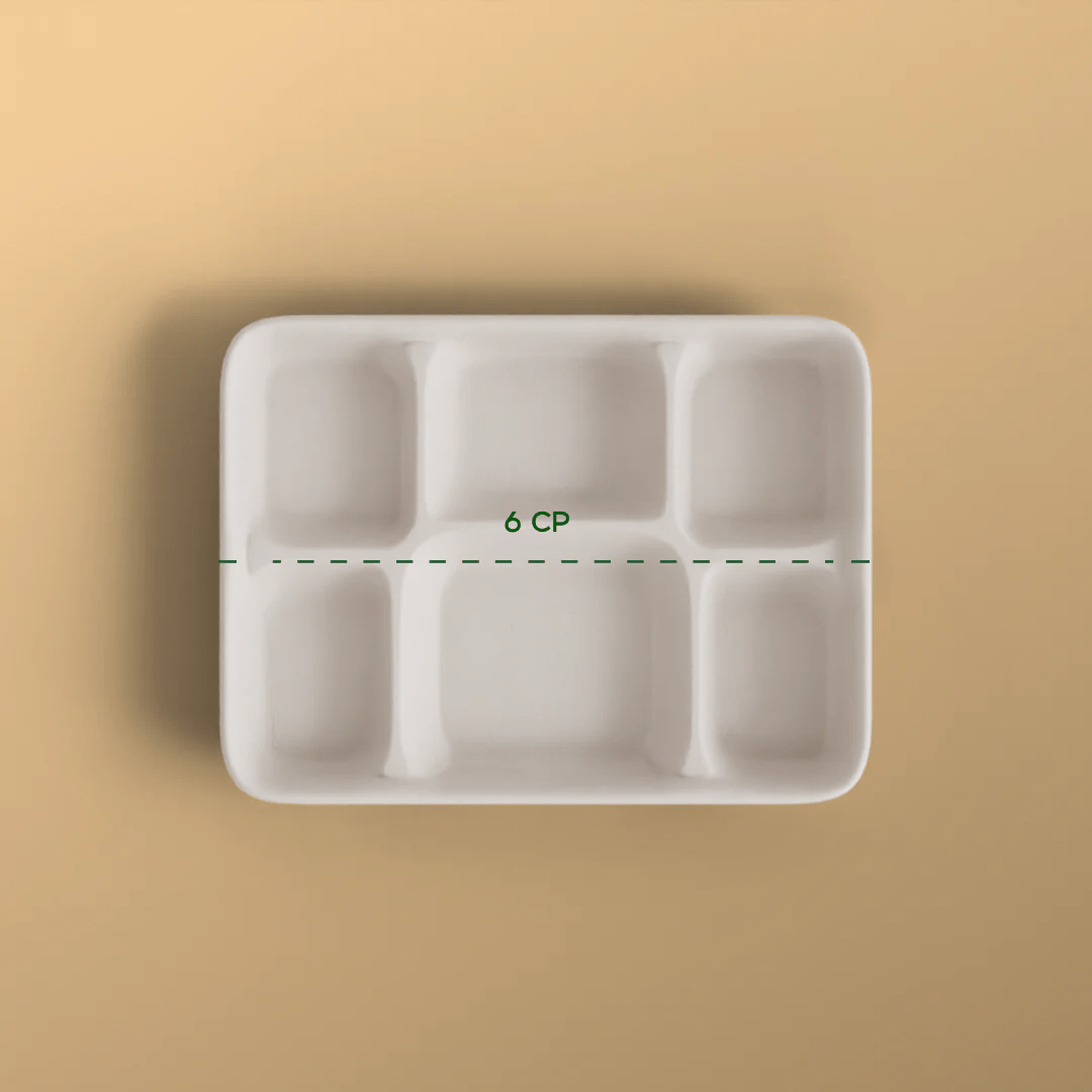 Product_name - Biodegradable sugarcane bagasse Product_type