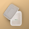Product_name - Biodegradable sugarcane bagasse Product_type