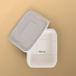 Product_name - Biodegradable sugarcane bagasse Product_type