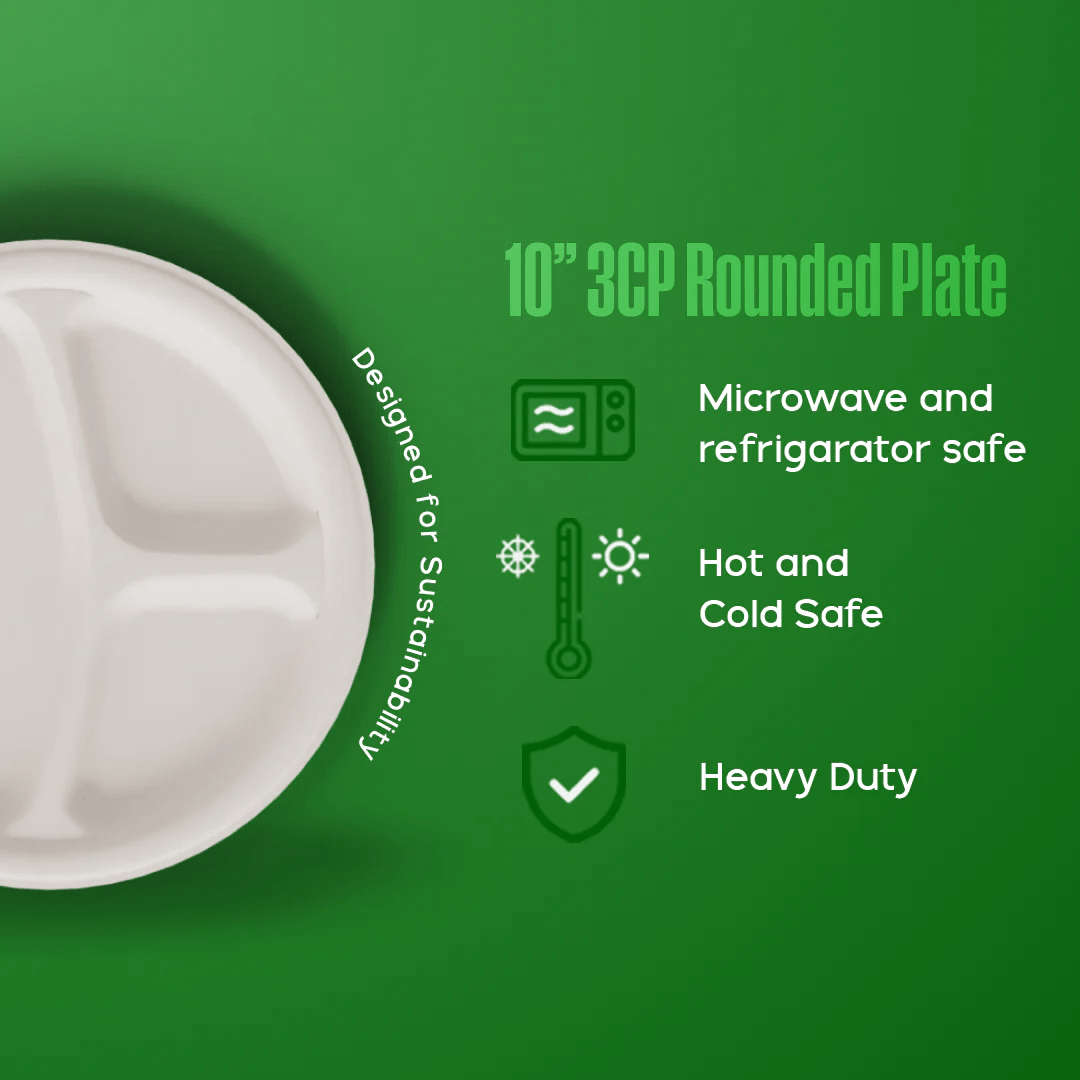 Product_name - Biodegradable sugarcane bagasse Product_type