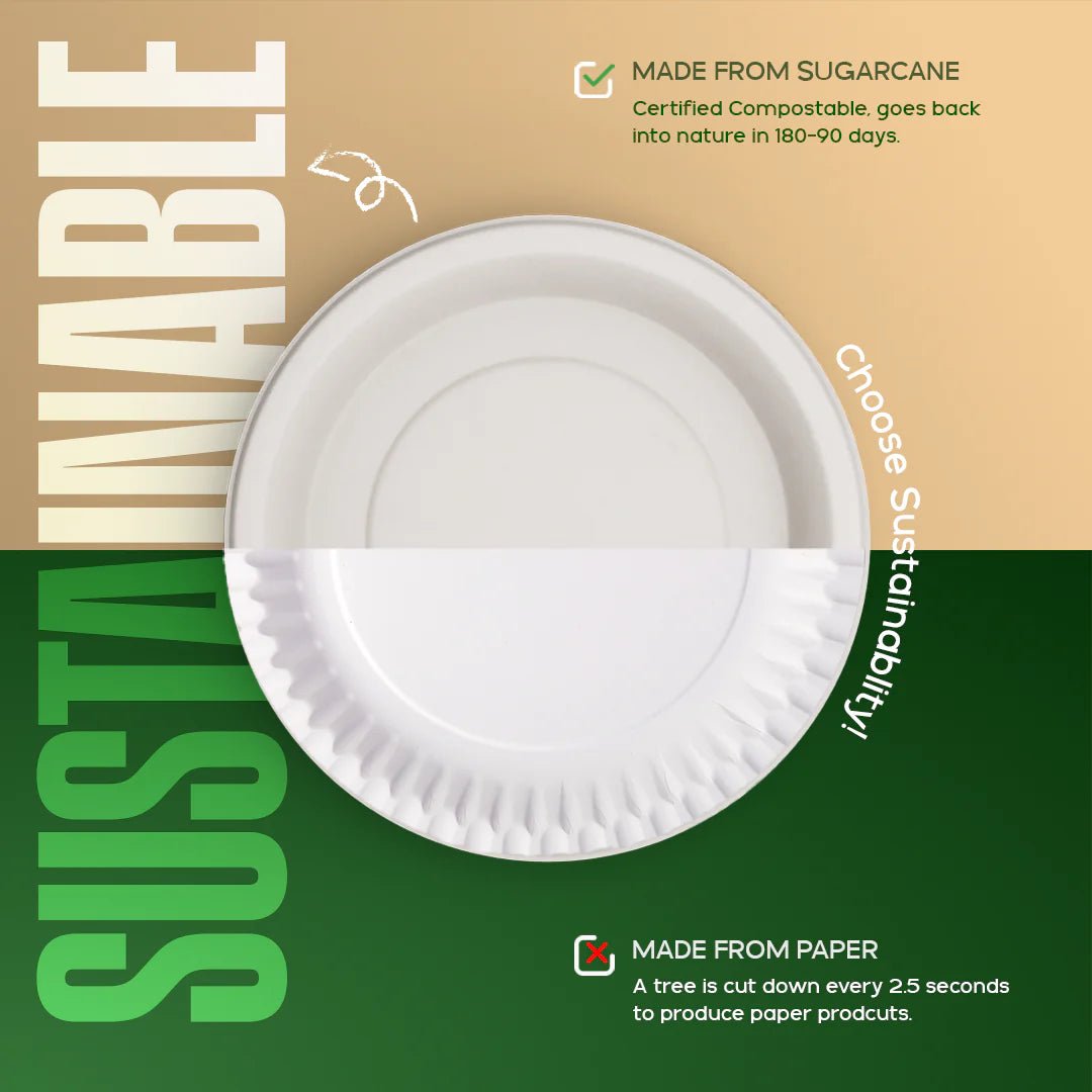 Product_name - Biodegradable sugarcane bagasse Product_type