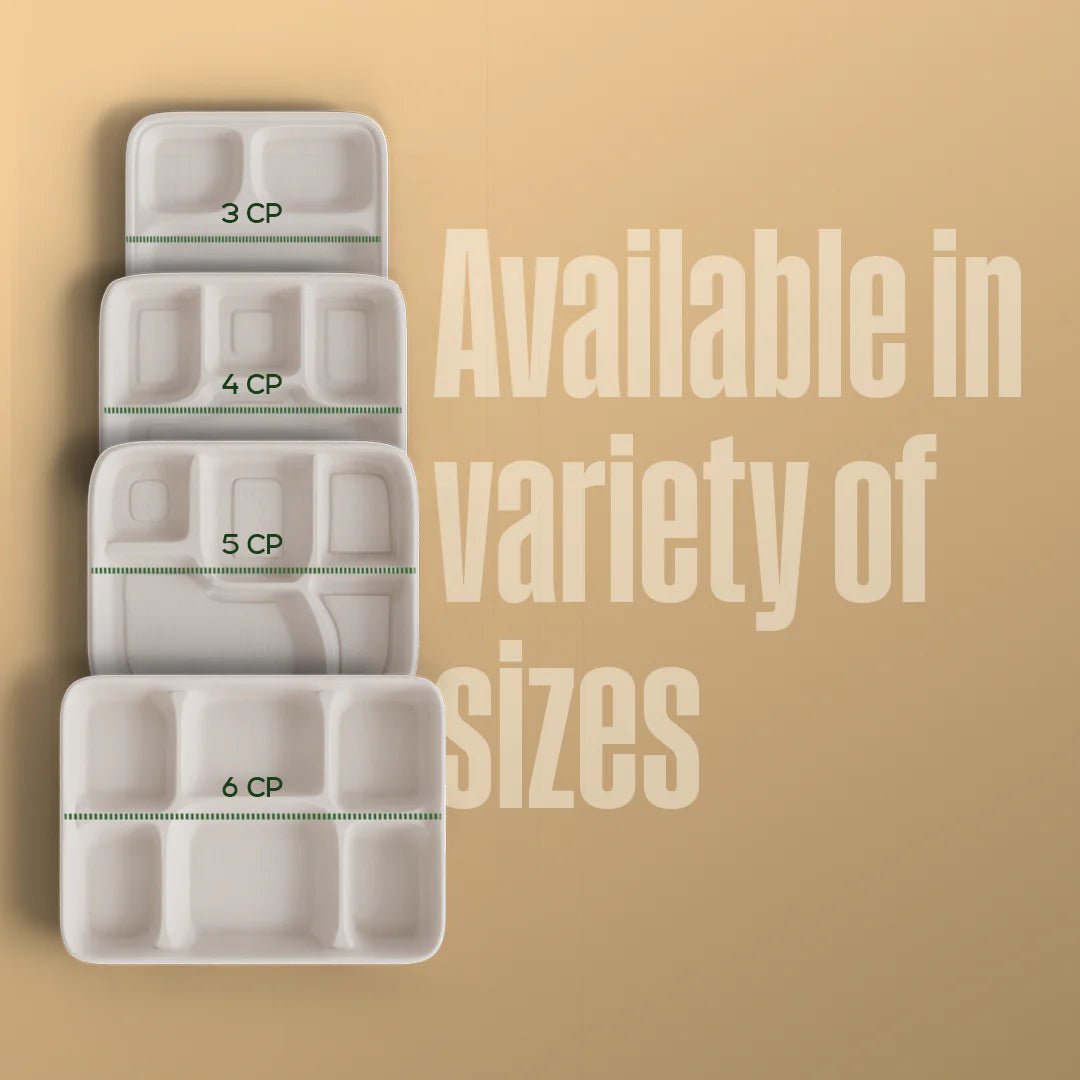 Product_name - Biodegradable sugarcane bagasse Product_type