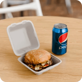 Product_name - Biodegradable sugarcane bagasse Product_type