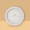 Product_name - Biodegradable sugarcane bagasse Product_type