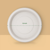 Product_name - Biodegradable sugarcane bagasse Product_type