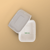 Product_name - Biodegradable sugarcane bagasse Product_type