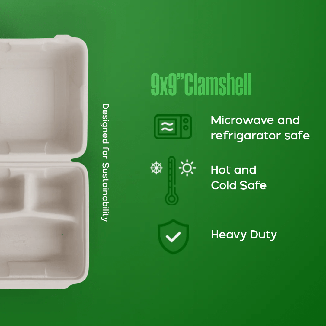 Product_name - Biodegradable sugarcane bagasse Product_type