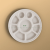 Product_name - Biodegradable sugarcane bagasse Product_type