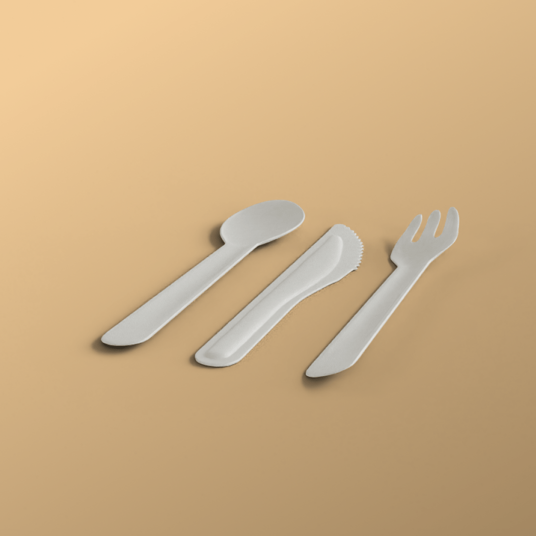 Product_name - Biodegradable sugarcane bagasse Product_type
