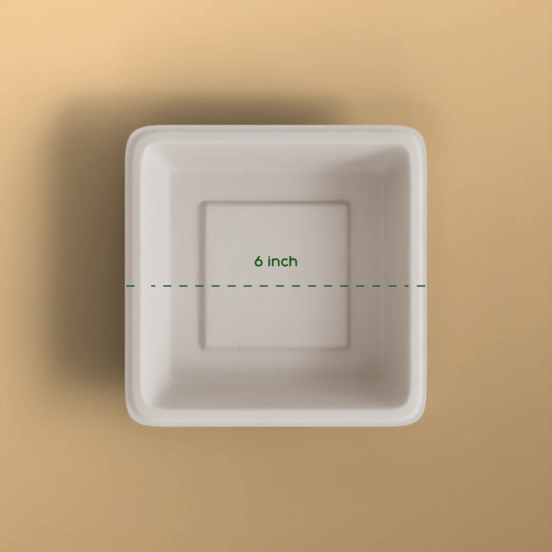 Product_name - Biodegradable sugarcane bagasse Product_type