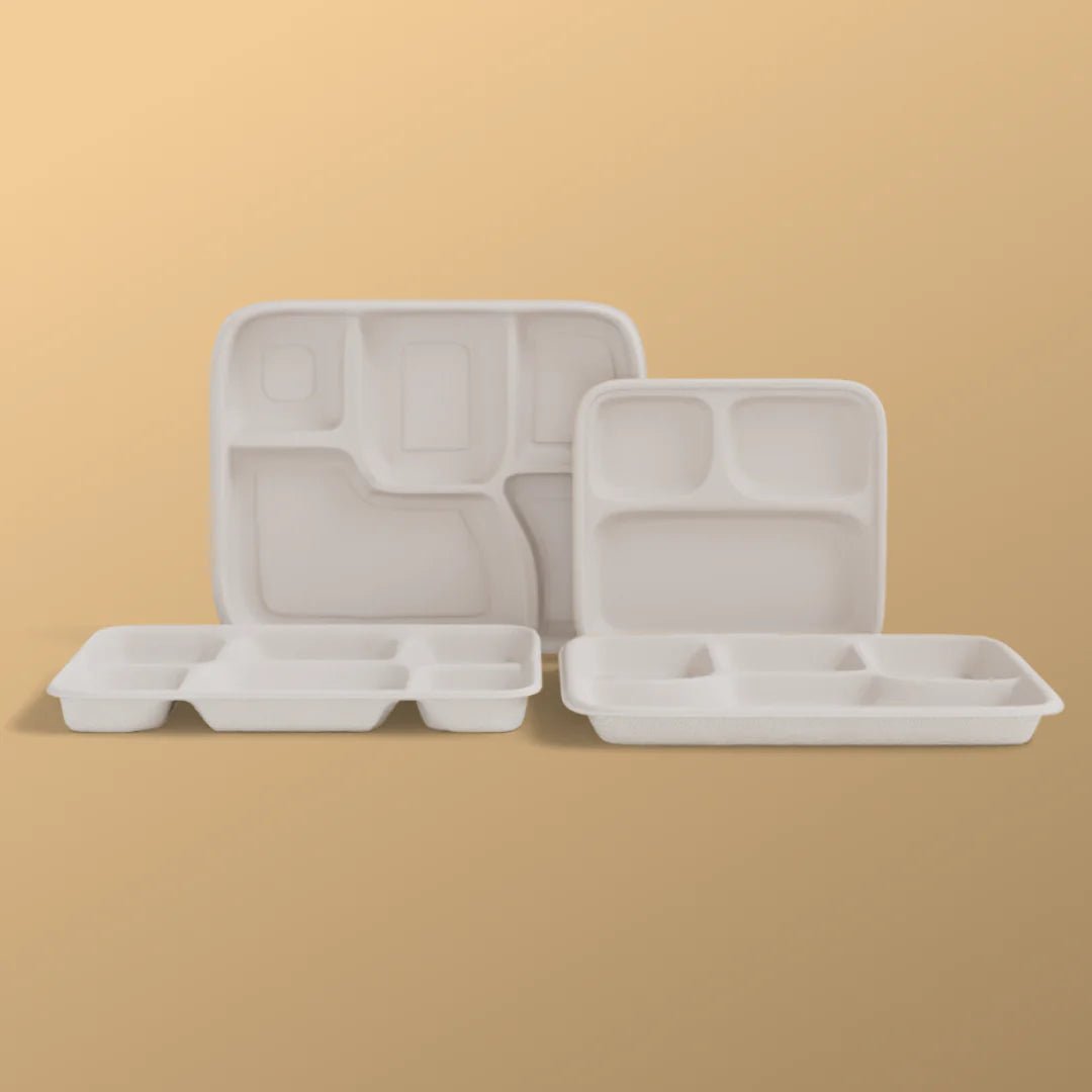 Product_name - Biodegradable sugarcane bagasse Product_type