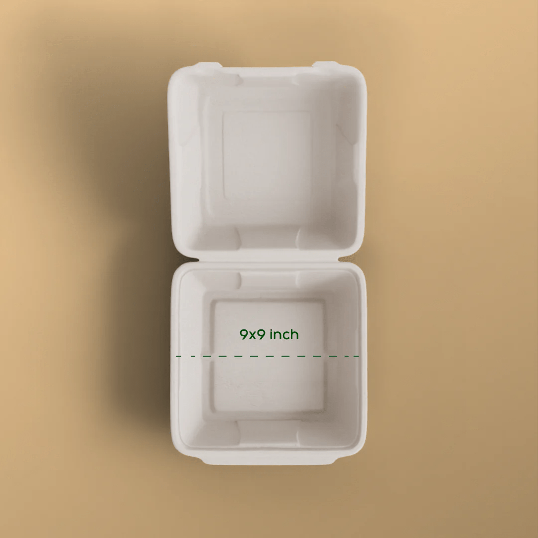 Product_name - Biodegradable sugarcane bagasse Product_type
