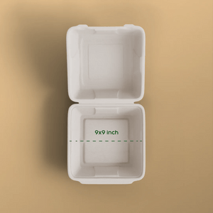 Product_name - Biodegradable sugarcane bagasse Product_type