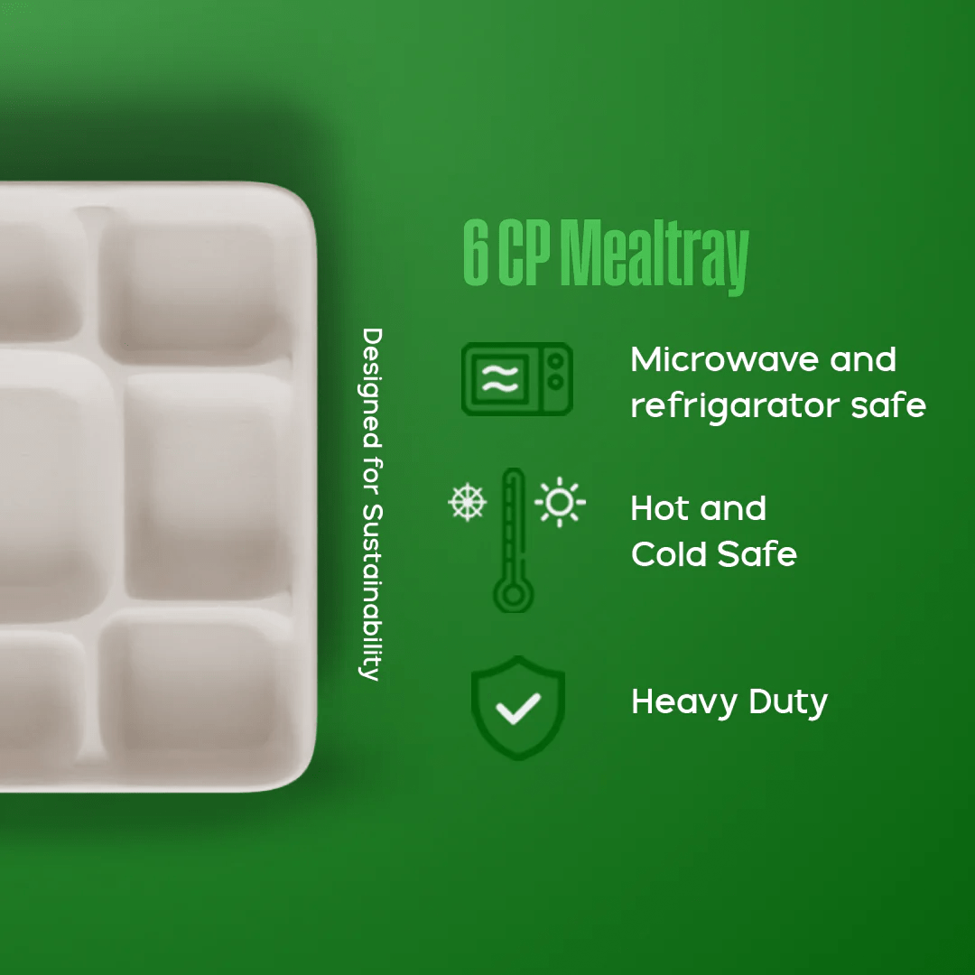 Product_name - Biodegradable sugarcane bagasse Product_type